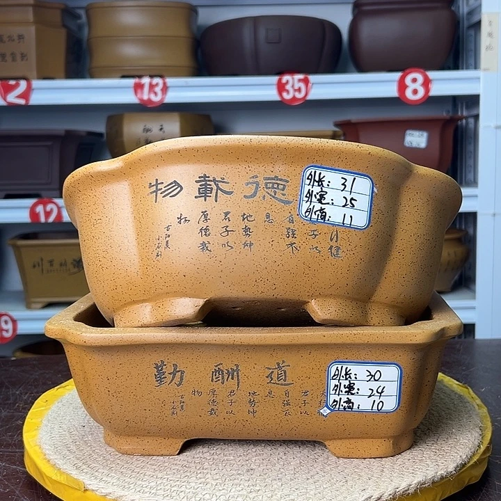 花盆紫砂蛇年大吉