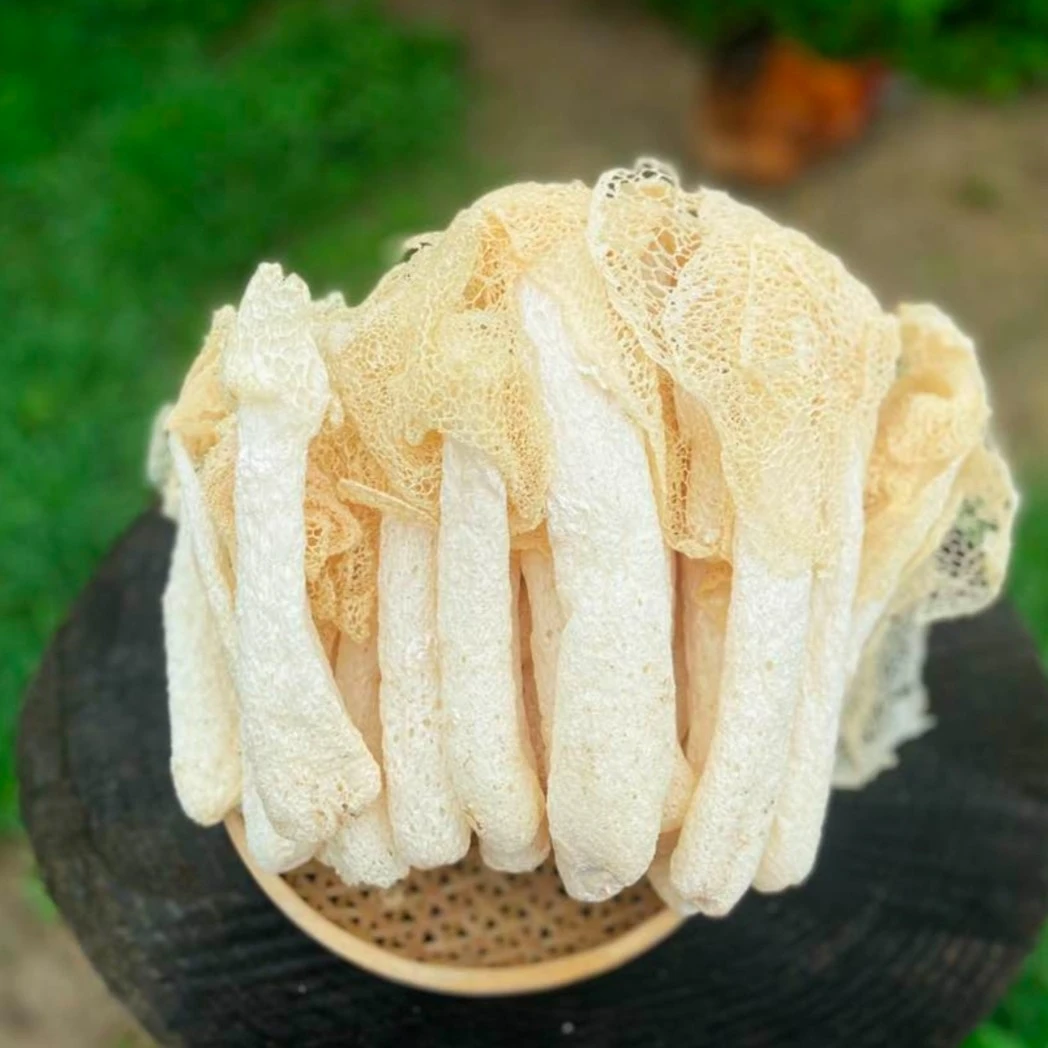 福建建阳新鲜烘干开裙竹荪25g100g200g500g