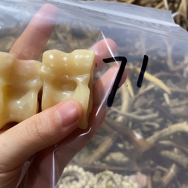 唐***汉非金属鹿骨鹿骨鹿骨