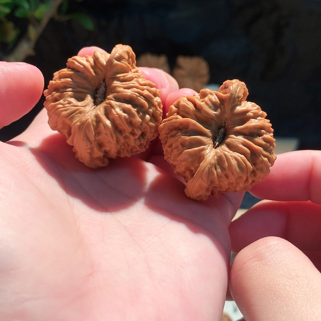 把件文玩核桃38南疆