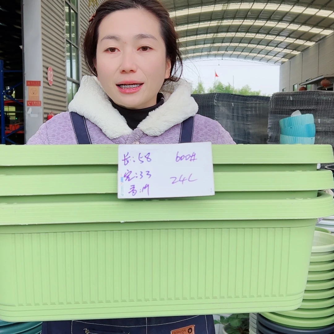 菜盆600#果绿3个无托