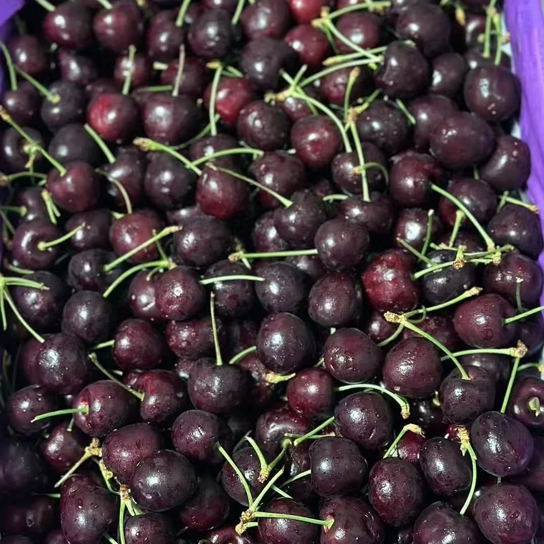 美国进口车厘子10行，黑珍珠大樱桃，脆甜爆汁果，当季新鲜水果 L一斤装黑珍珠美国