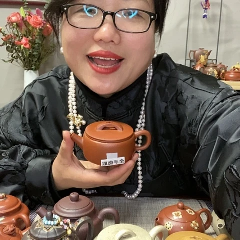 朱泥茶壶124456889z sh