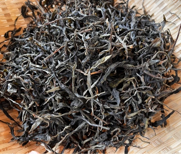 梅子箐 2025年头春头采 散茶 晒青毛茶