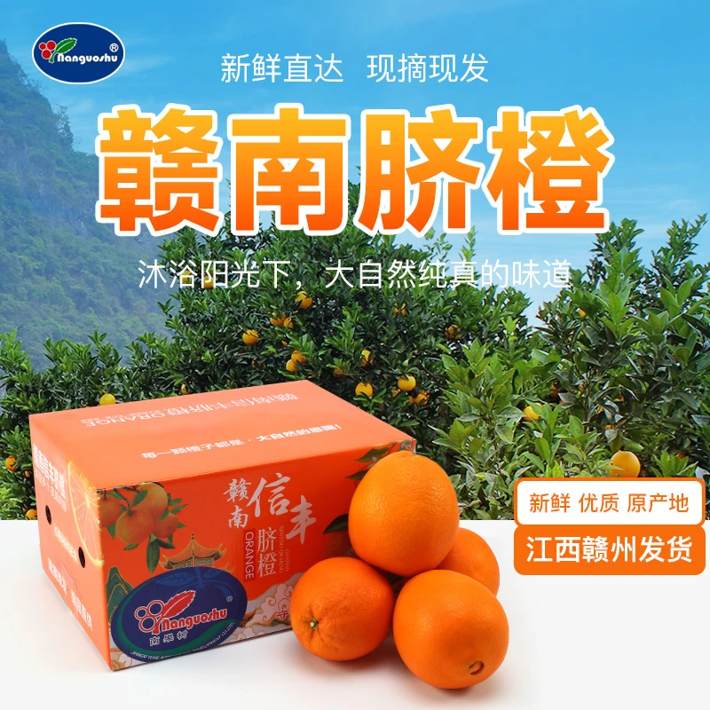 南果树正宗赣南脐橙现摘现发原产地直发
