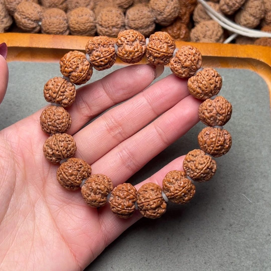 菩提33号金刚菩提针孔蜂王16