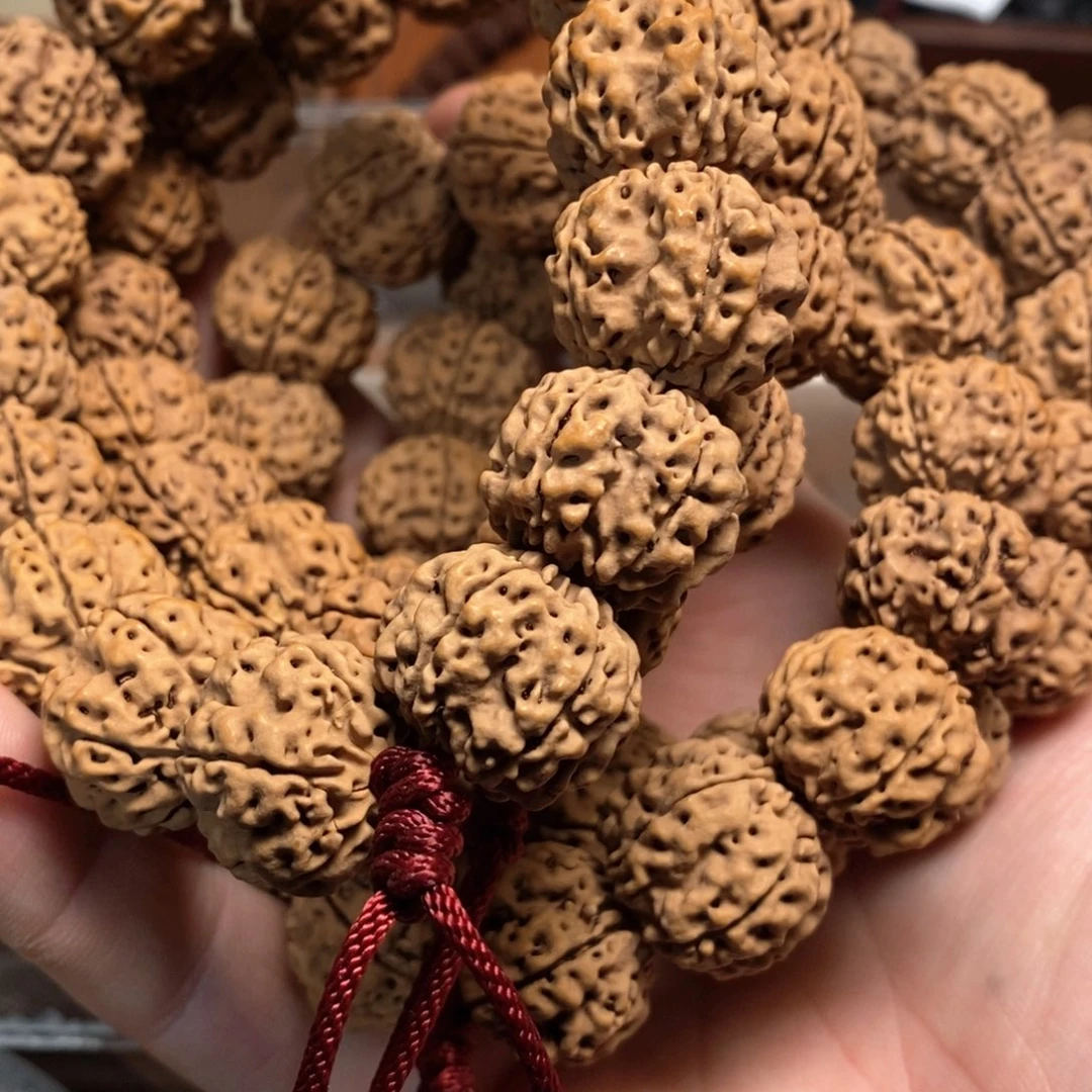 金刚菩提手串霸王龙20以上小金刚