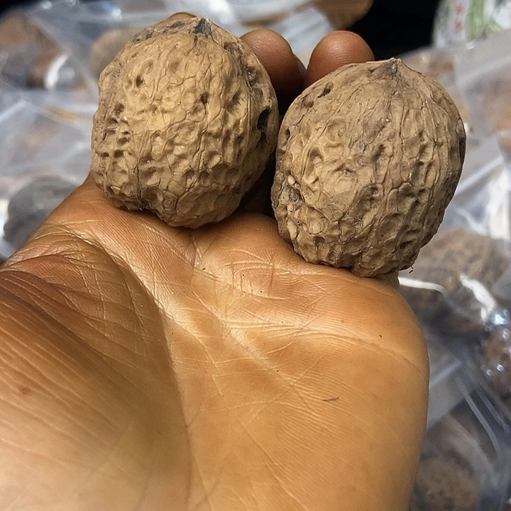 把件文玩核桃云南铁核桃基地13