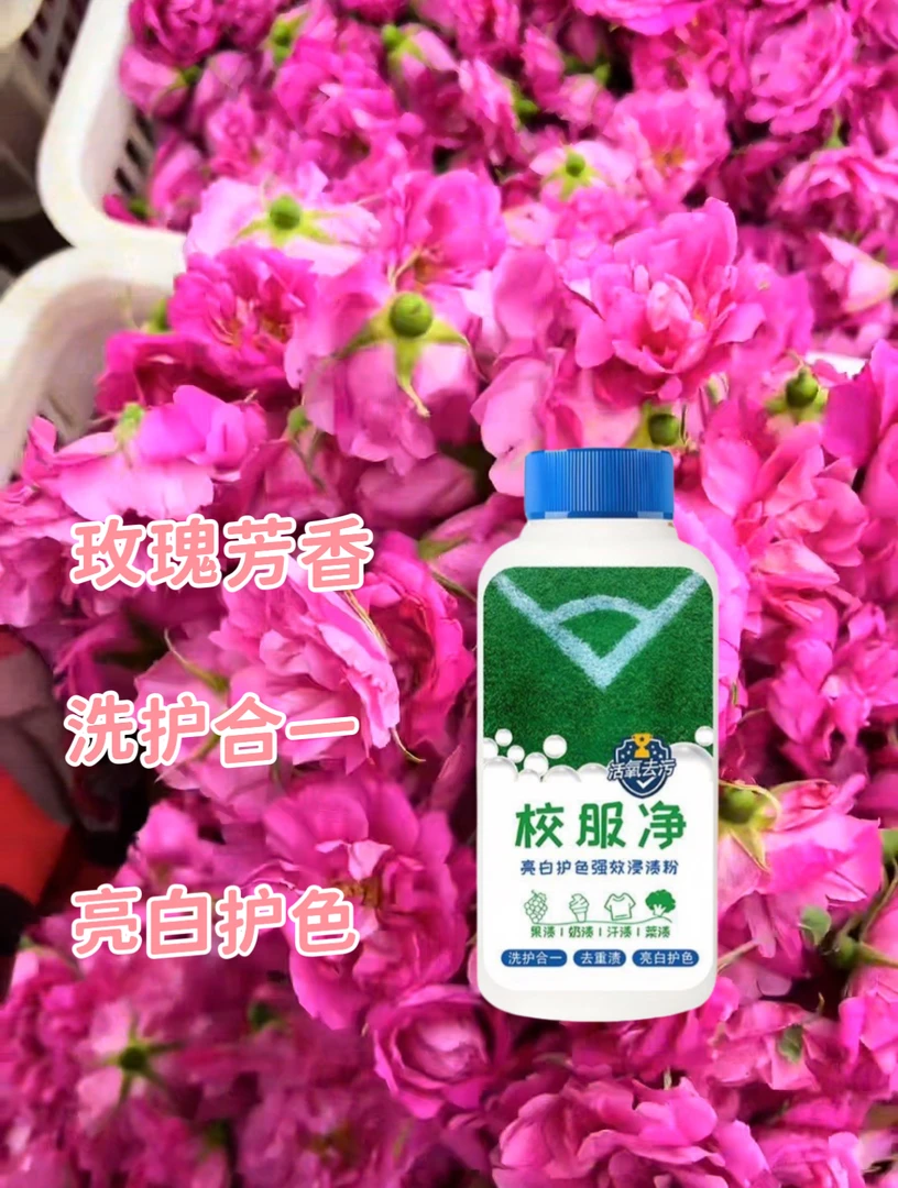 校服清洗神器家用衣服强效去渍去黄增白彩票强力清洁干洗剂