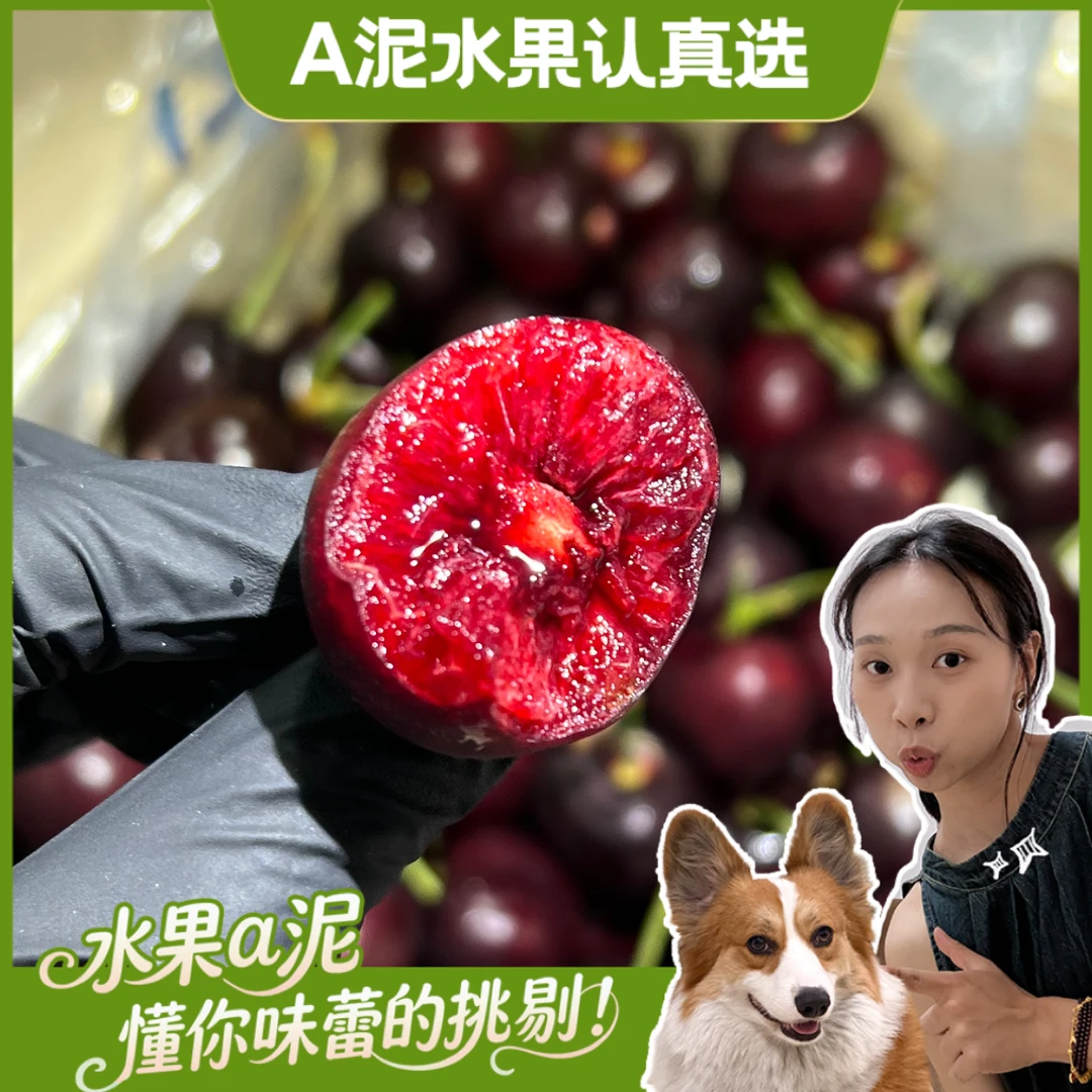 Sweet Aryanaa阿雅娜 智利进口海运2JD 1.8-5斤内附果径卡