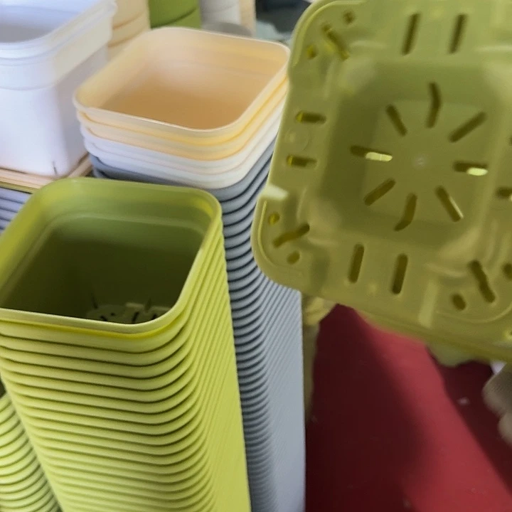 方16口径果绿10个无托新款