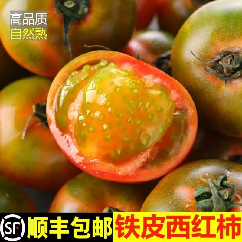 ·丹东草莓柿子碱地柿子铁皮柿子水果西红柿水果番茄铁皮西红柿
