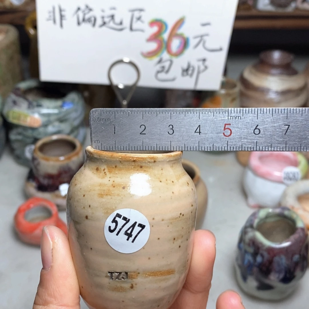 花盆拍5送一个小礼物