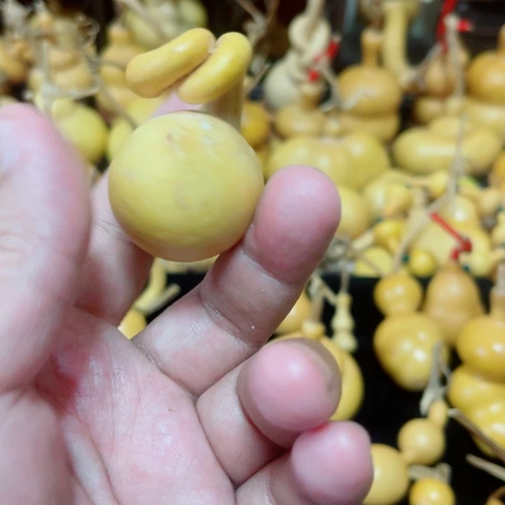 白*?蜗牛          。