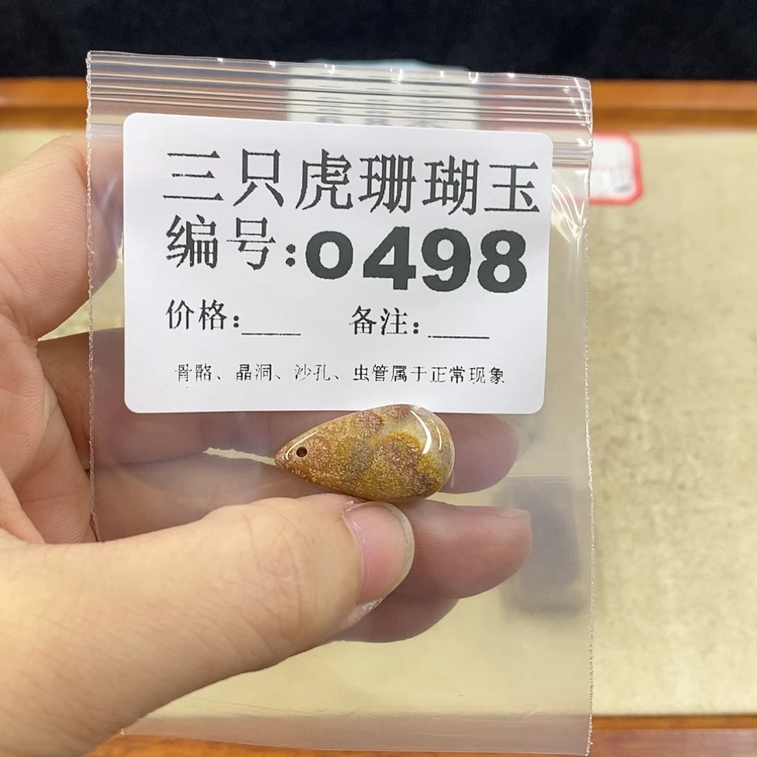 硅化珊瑚(珊瑚玉)1未镶嵌阿*