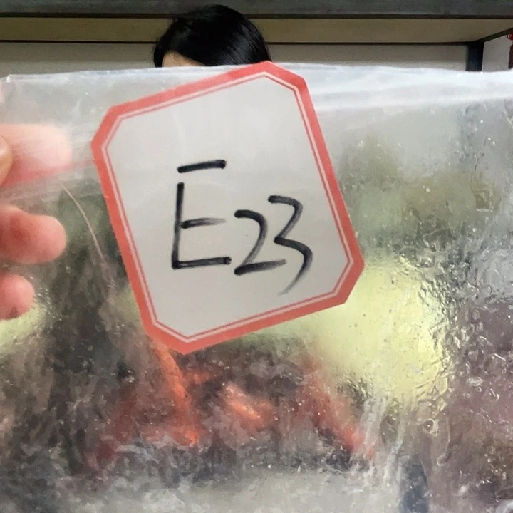 小***米蛇纹石玉未镶嵌珠宝奇石