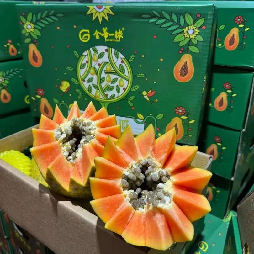 【锤锤甄选】海南树熟奶酪木瓜1箱2-3粒 共4.5-5斤顺丰包邮坏果包赔