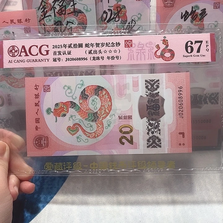 塑料020608996。。。。。龙珠