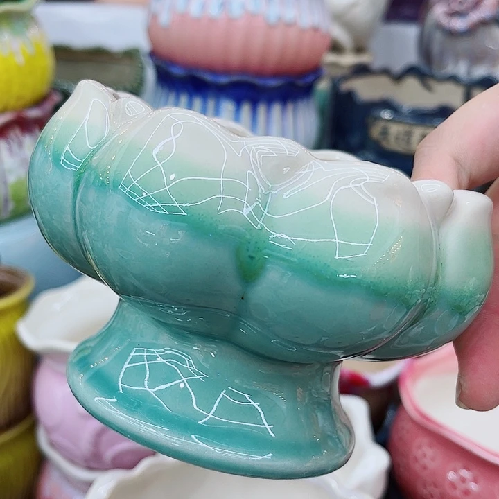 多肉植物陶瓷花盆