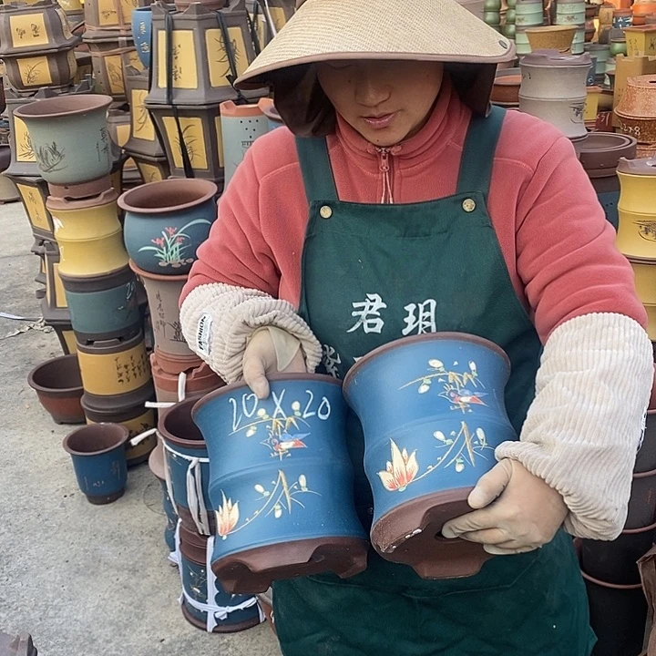 紫砂花盆盆栽花卉苗木种植