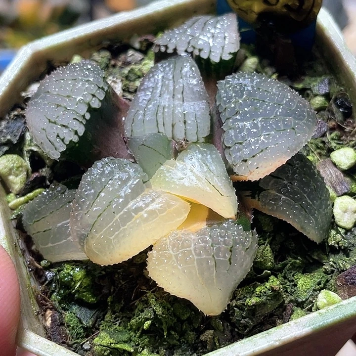 山***花753天空之镜您特选福利