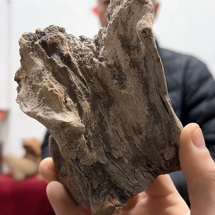 柏木古**香我们都是好孩子呀我