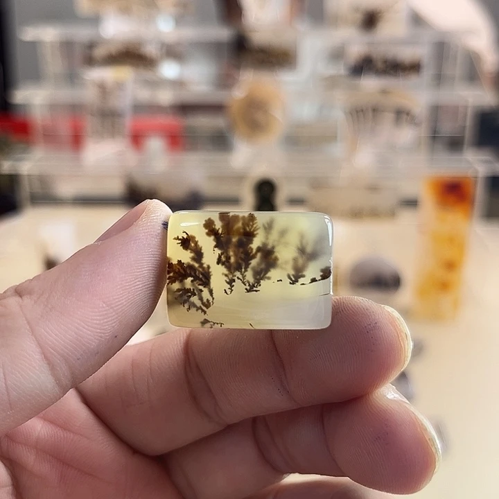 未镶嵌吊坠(不含链)玛瑙/玉髓