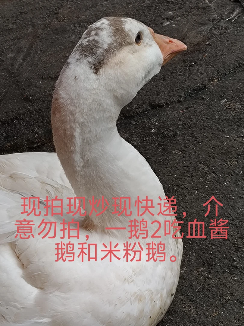 武冈伴山传统血酱鹅和米粉鹅儿时的记忆。