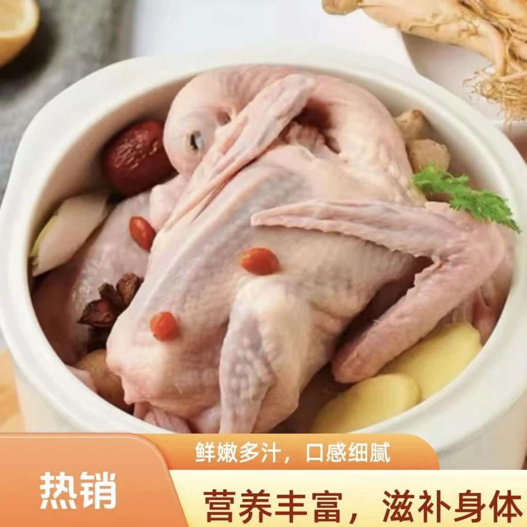 [拍5送1]农家散养土鸽子新鲜现杀 带内脏急冻锁鲜