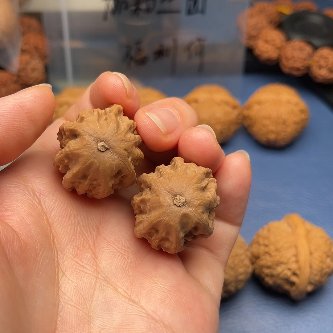 文玩核桃把件孙****秋子