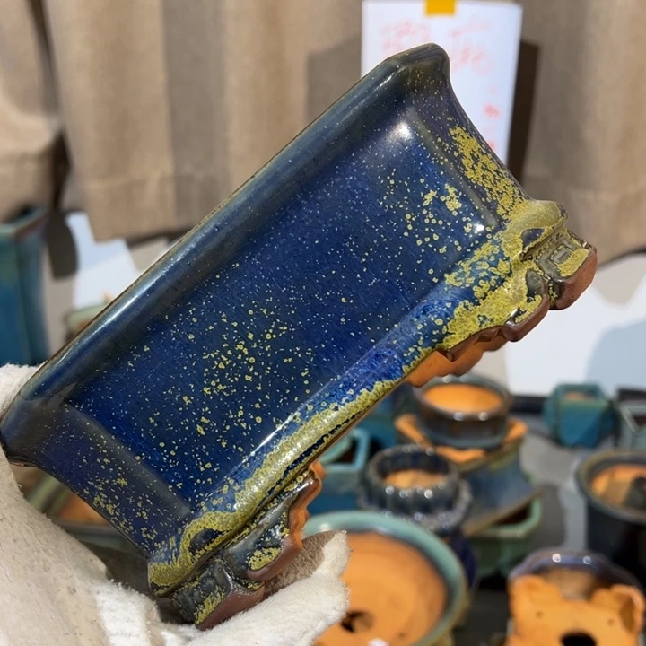 觉象花盆盆景盆盆栽