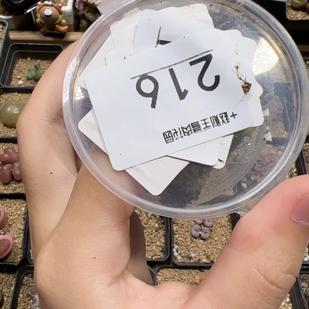【闪购商品】216 秒