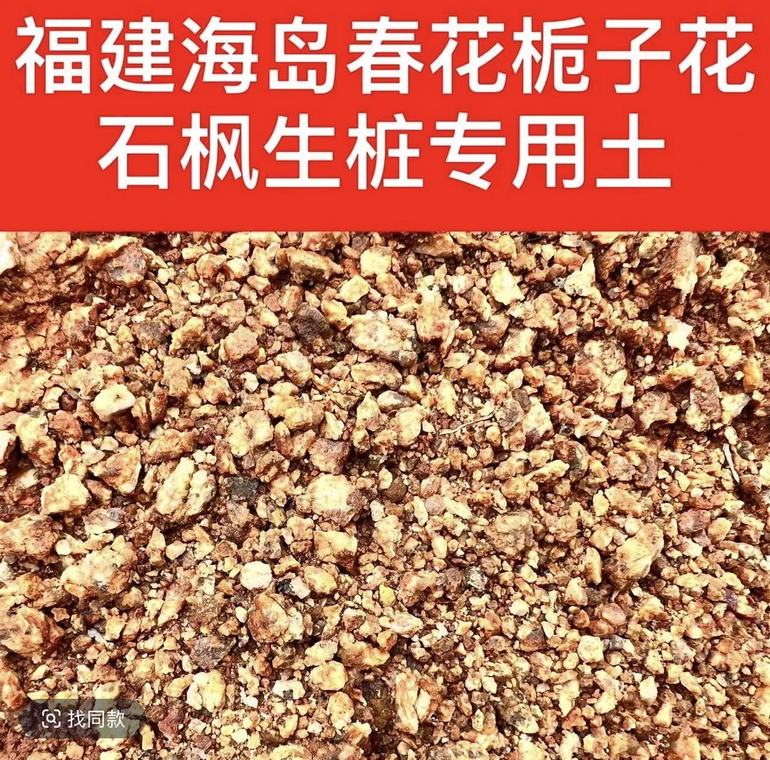 福建海岛风化土海岛春花专用风化石海岛石枫栀子花营养适用生根土