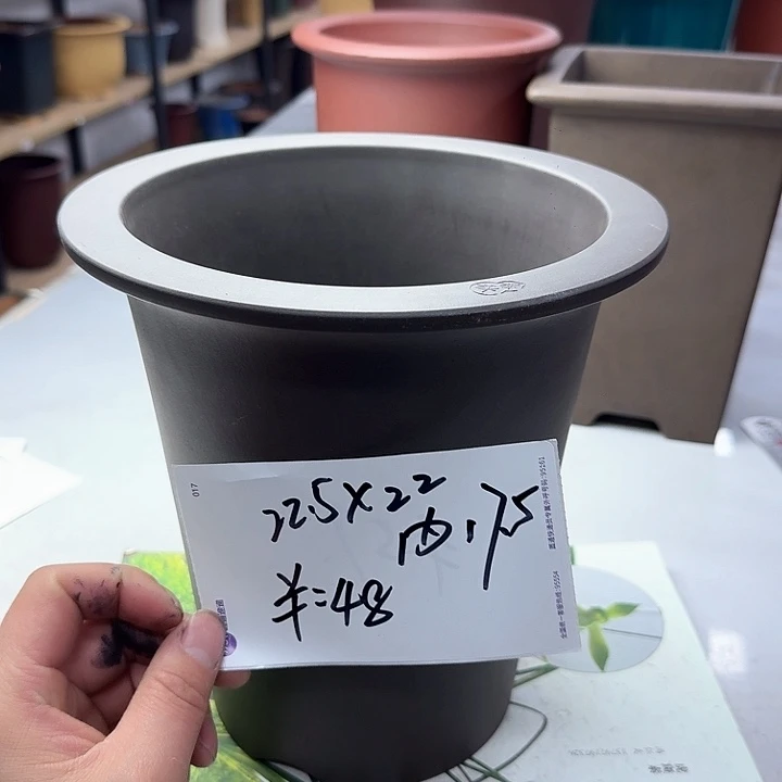 紫砂2222222322333333