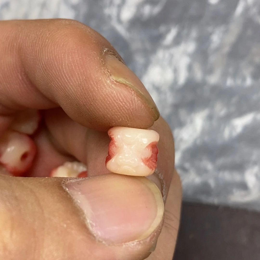 其他驼骨0.9尺寸配饰,20