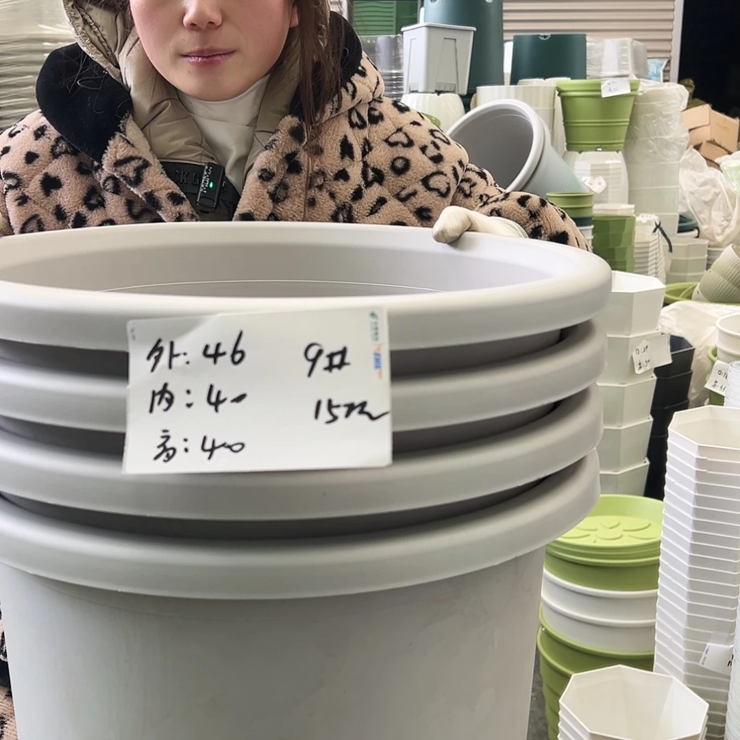 四季盆9#灰白4个无托