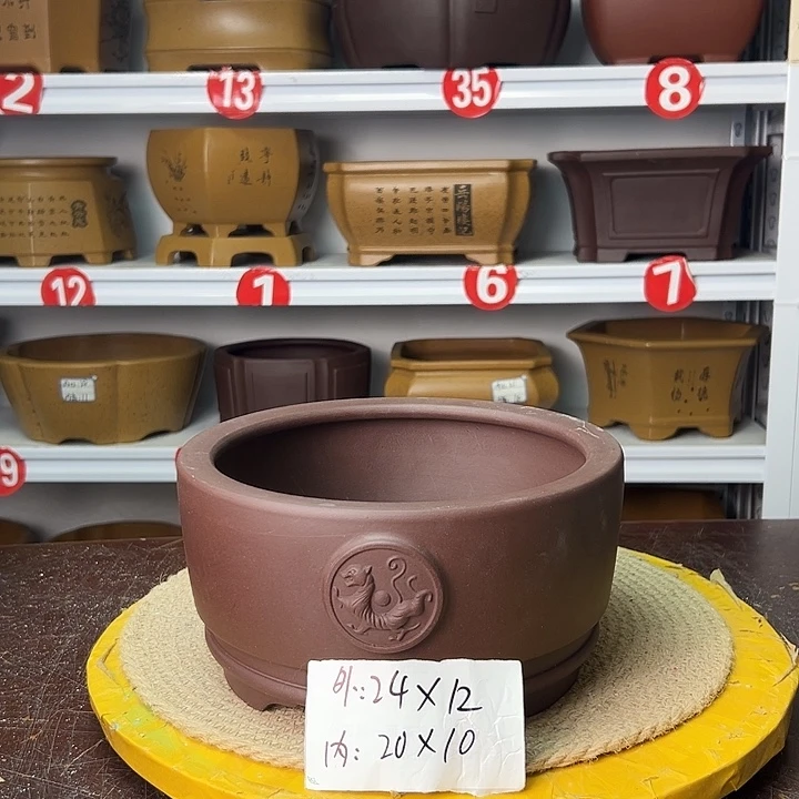 花盆紫砂你在一起