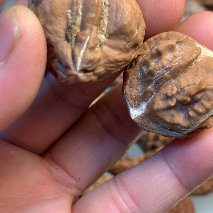 文玩核桃吊坠拿姐34