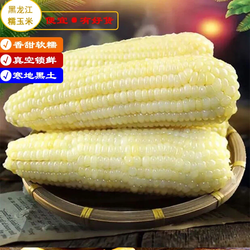 源头直供白糯10根5-6斤】东北糯玉米甜糯新鲜代餐早白玉米真空包装