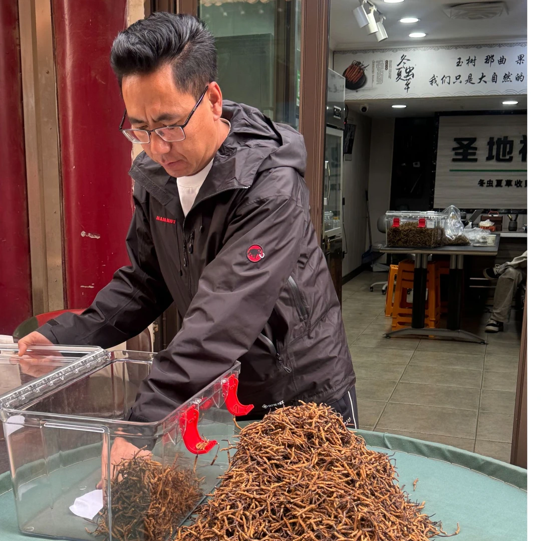 【冬虫夏草】10.4号 打粉 现收现卖   自然晒干 品质滋补
