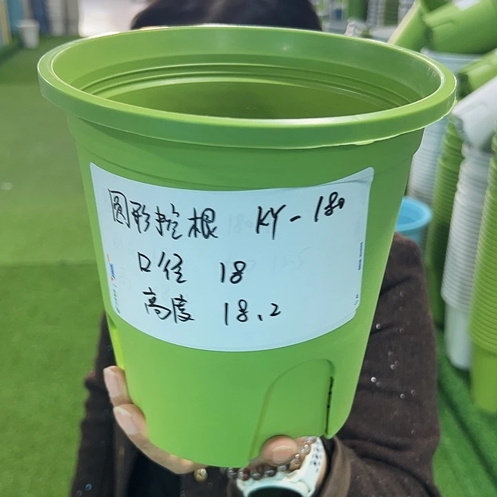 正品圆控口18高18果绿无托8只