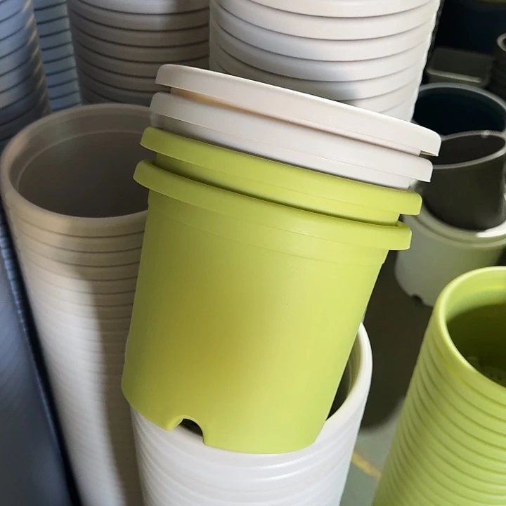 四季3#口径21果绿10个无托