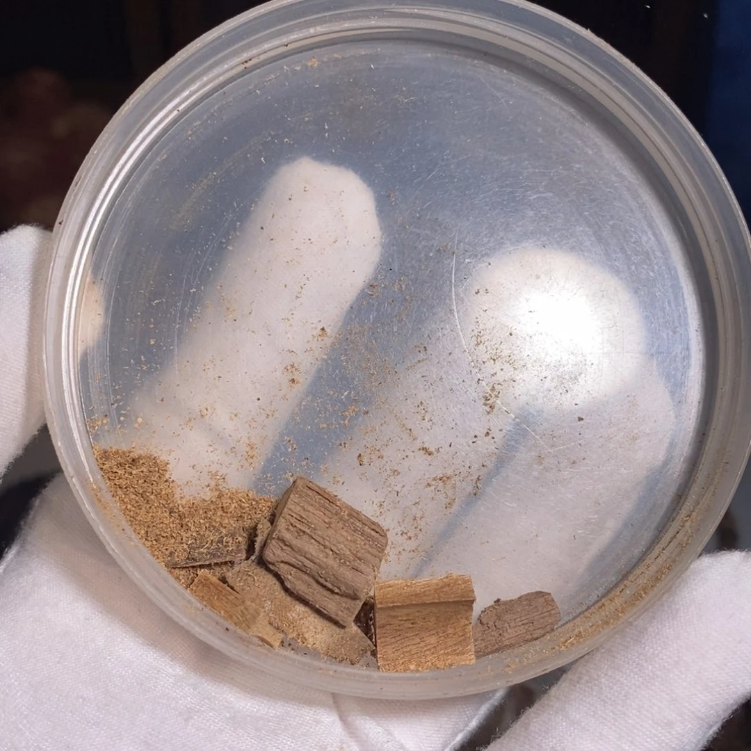 沉香沉香碎屑菩萨果香粉料 1克 随机