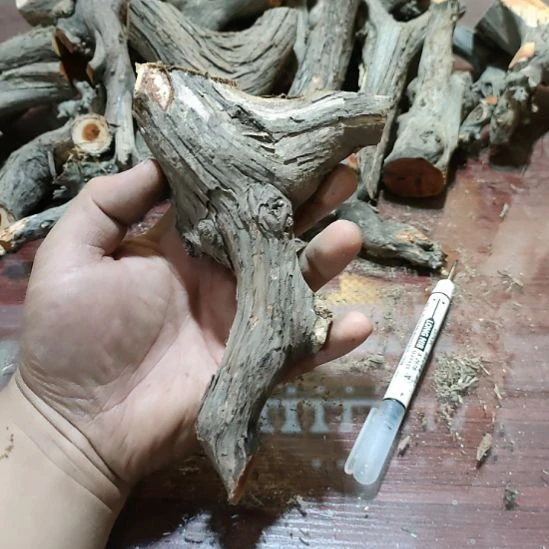 竹***梦大果紫檀（缅甸花梨）