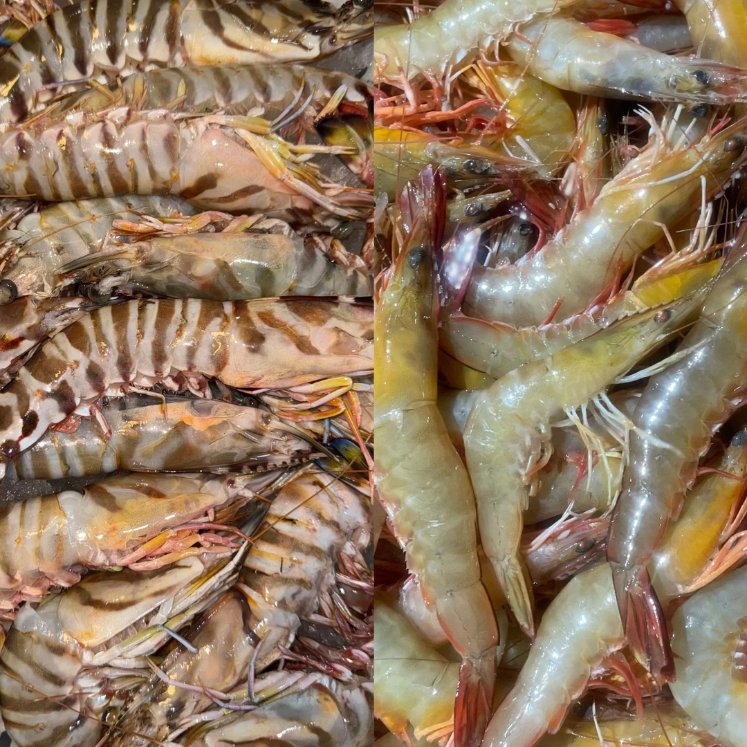 野生海捕（次九节虾+次海白刺虾）
