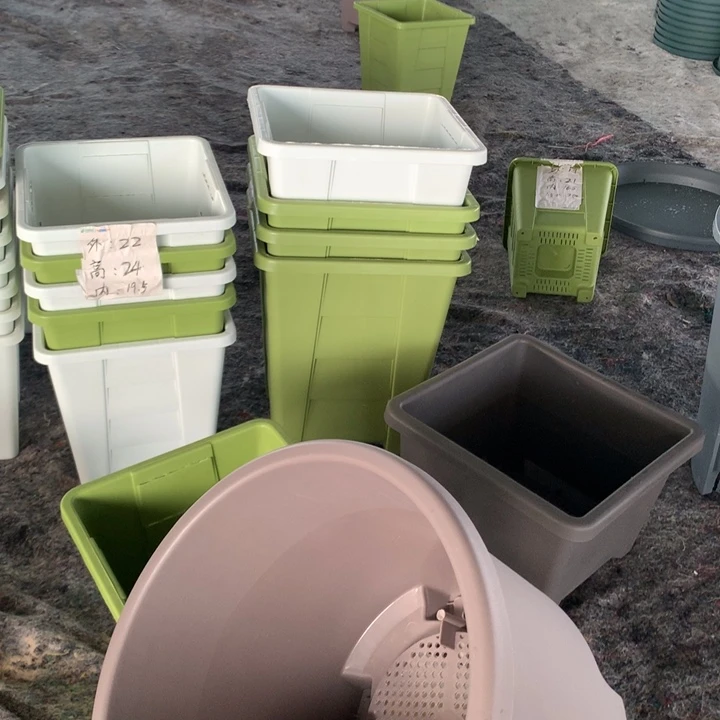 ʚ***ɞ26口奶白无托4个