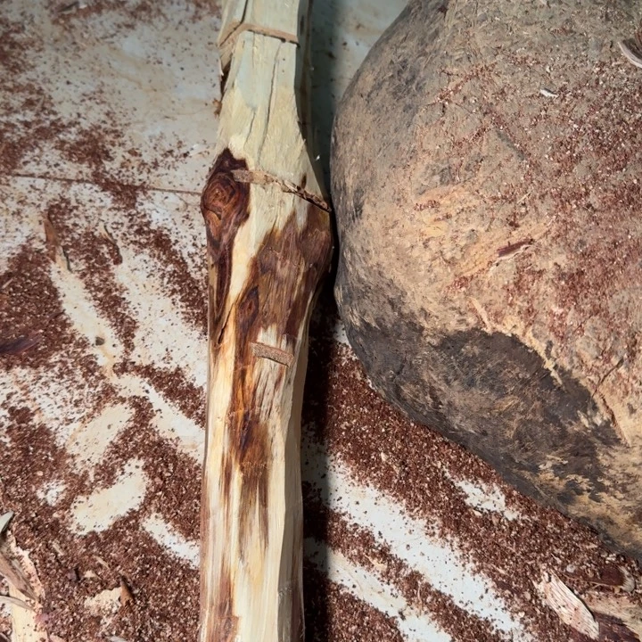 用***6木海南，海北飞灰尘。甘受商于仪诳楚