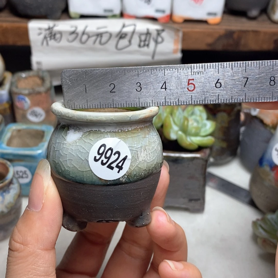 拍5送一个小礼物