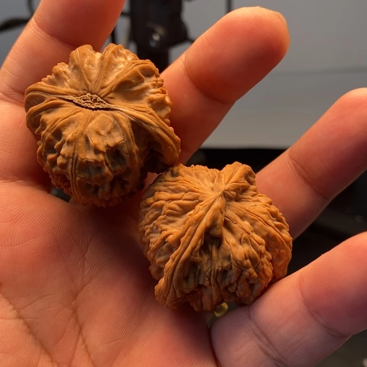 柏***雾41尺寸全品球白266