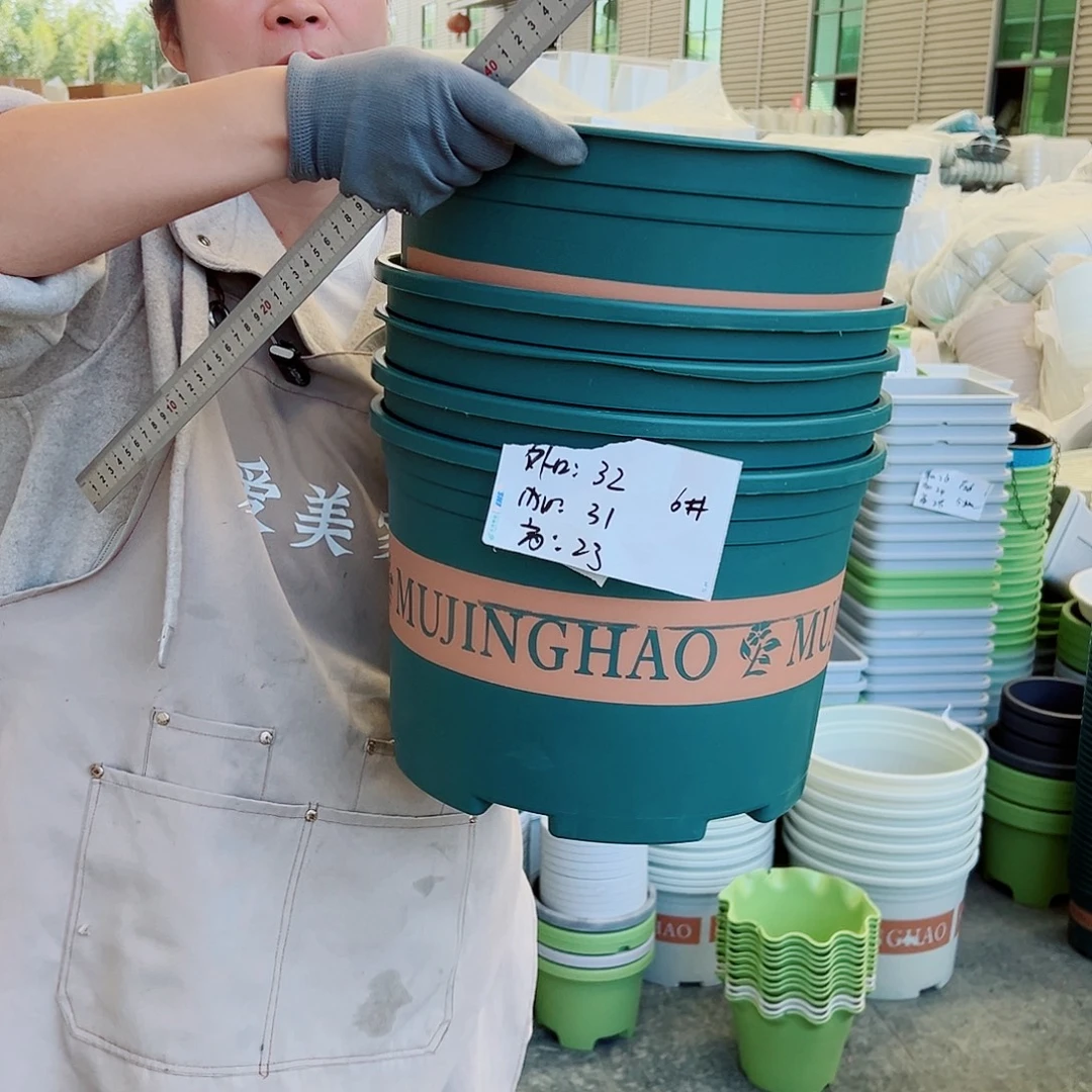 瑕疵矮胖6#墨绿色5个无托